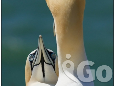 025 Hainall Helgoland fotogarfie 