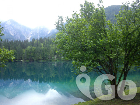 DSC00909