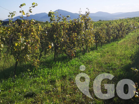 009 Slovakia
