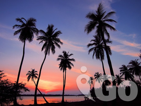 012 sri-lanka-2455695 640