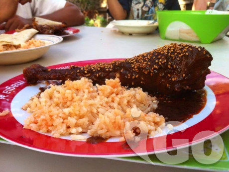 Mole de guajolote