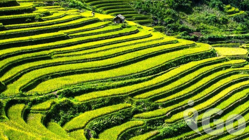 Vietnamská SAPA - tam, kde trefujeme s místními + VIDEO