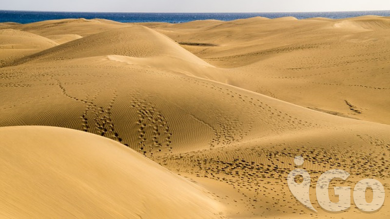 To nejlepší z ostrova GRAN CANARIA + DUNY MASPALOMAS + MOŘE