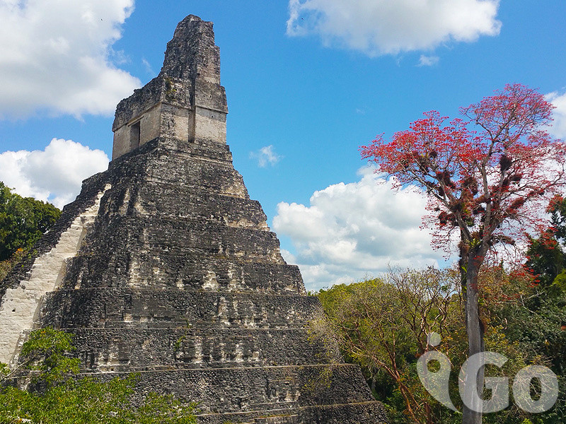 igoimage-04