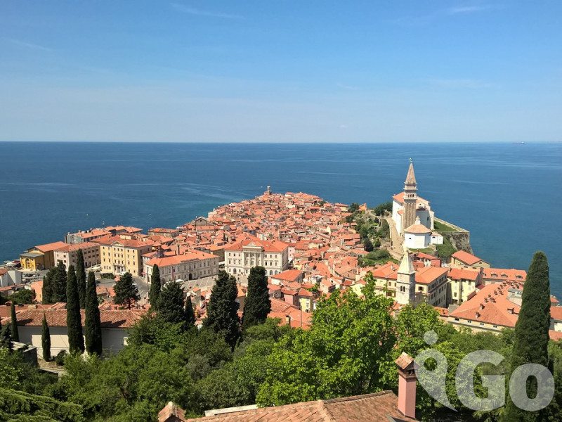 PIRAN