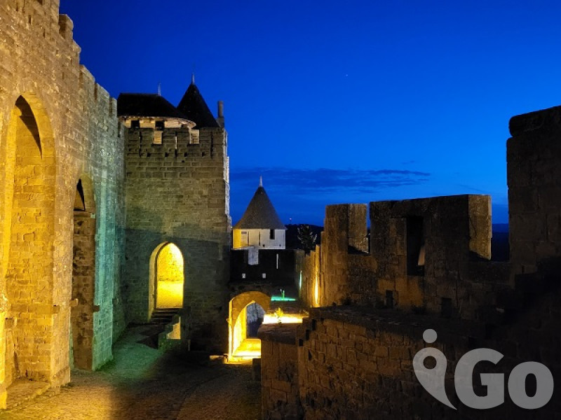 carcasonne1