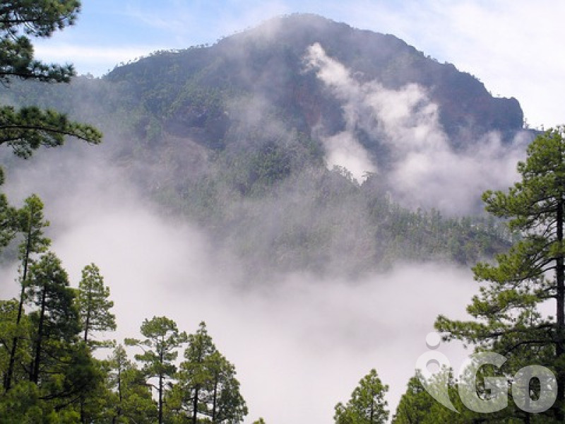 La Palma 2