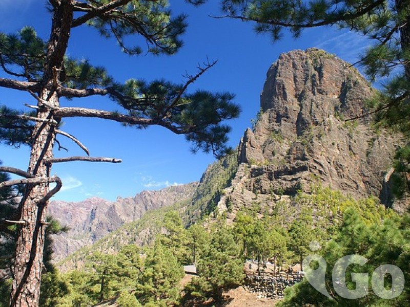 La Palma 5